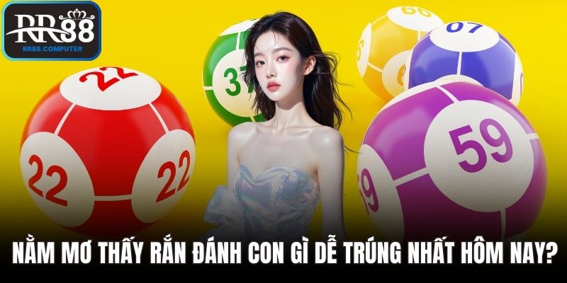 Nằm mơ thấy rắn đánh con gì