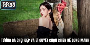 Tướng gà chọi đẹp